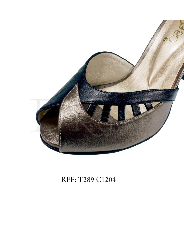 T289 C1204 / TANGO - SALSA - BACHATA / WOMAN (ON REQUEST)